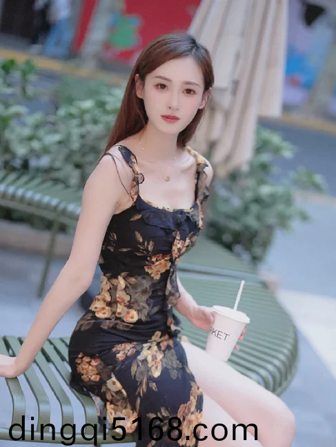 银虎导航6